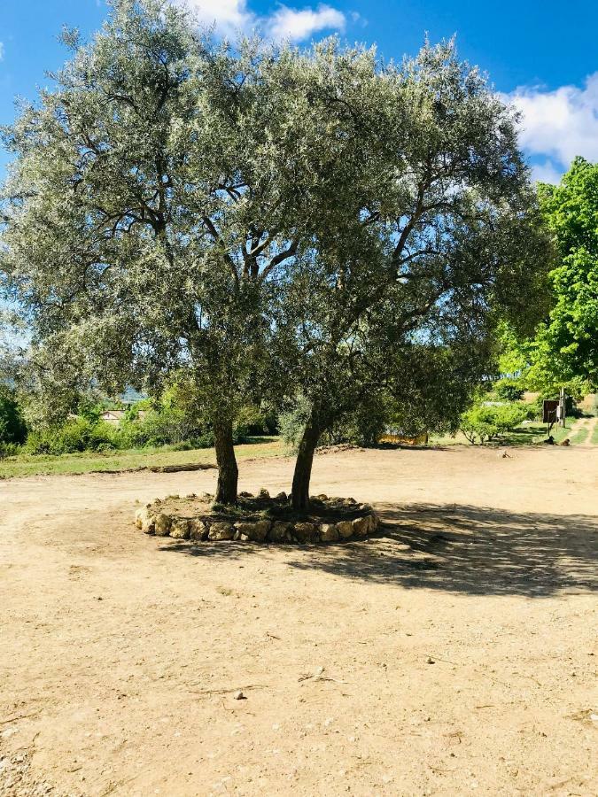 Bastide Bellugue Maison D'Hotes Reseau Bienvenue A La Ferme A 3 Minutes De Lourmarin Cadenet Exterior photo